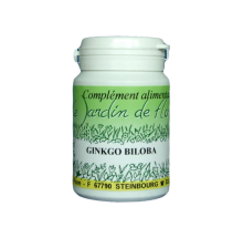 GINKGO BILOBA Extrait 30 mg