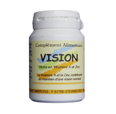 VISION VISION