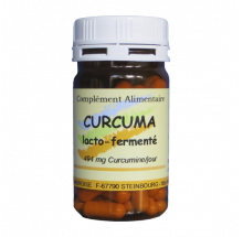 CURCUMA LACTO-FERMENTE